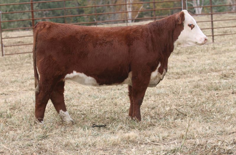 Keosauqua Sales Co. Inc