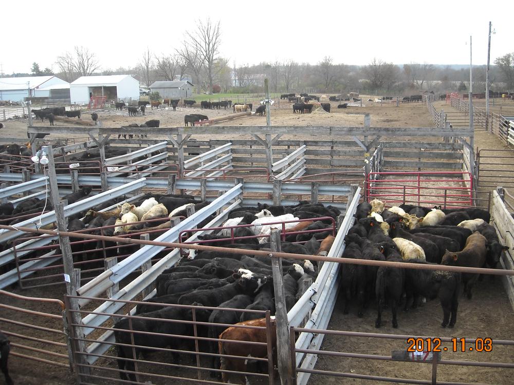 Keosauqua Sales Co. Inc