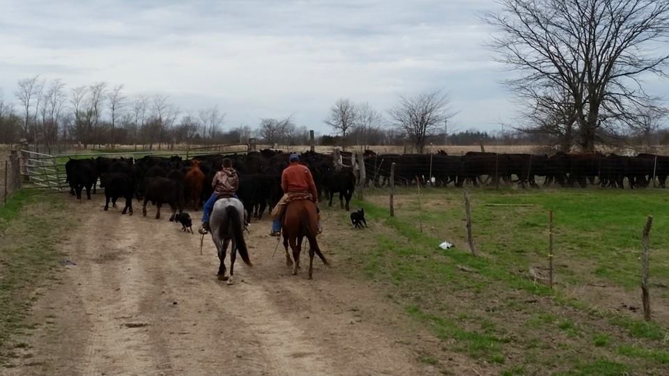 Keosauqua Sales Co. Inc