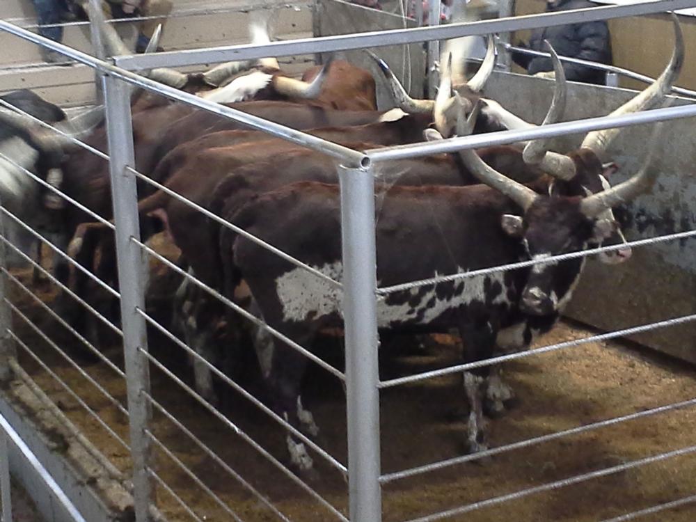 Keosauqua Sales Co. Inc