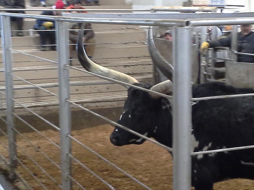 Keosauqua Sales Co. Inc