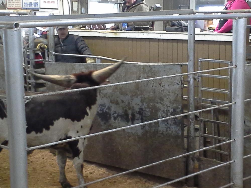 Keosauqua Sales Co. Inc